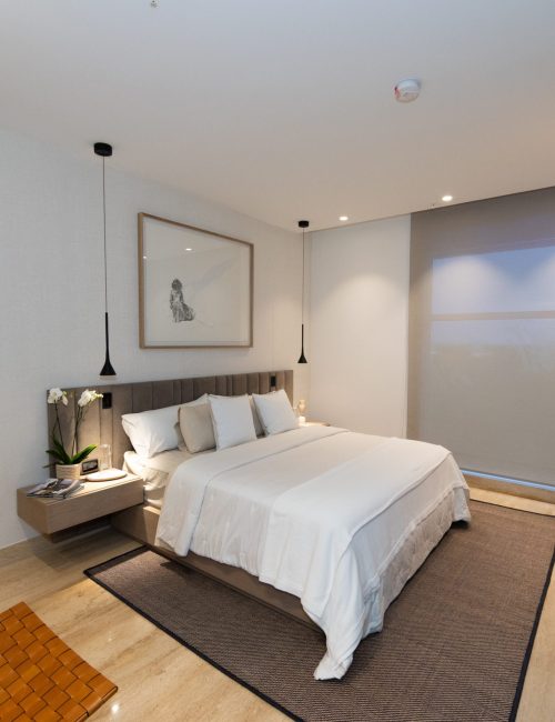 VALOR_DEVELOPMENT_CELESTE-1